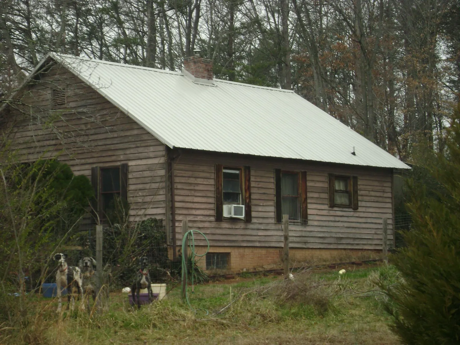 White metal roof on an old wood sided farmhouse, from a Asphalt Shingle Roof Repair job in Mc Connells